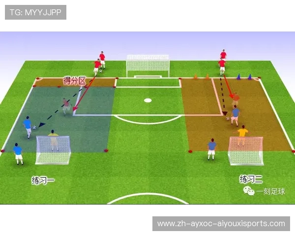 足球费米子分布模型如何帮助分析足球场上球员的空间布局